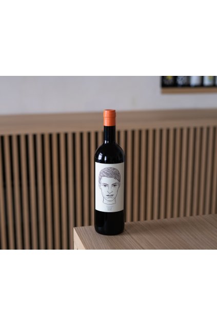 Gut Oggau Cecília rosé