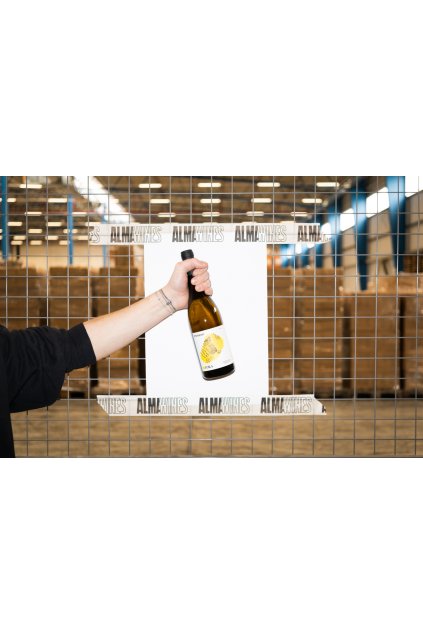 Vino eshop 1
