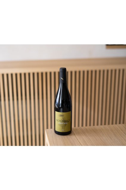 Biebelnheimer Pinot Noir LÃ¶ss 2020 Weingut SchÃ¶nhals