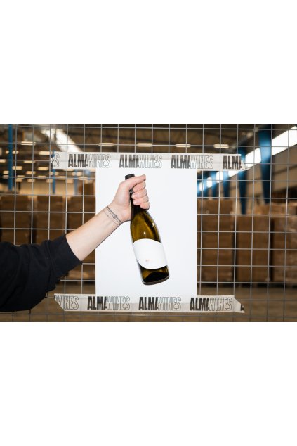 Vino eshop 3