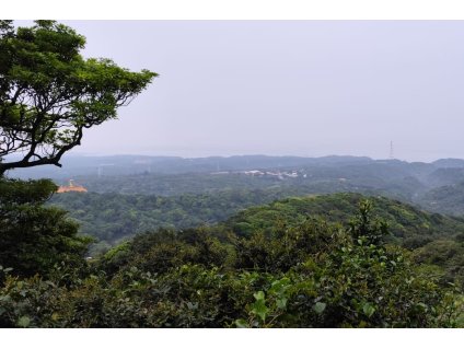 WhatsApp Image 2025 12 03 at 15.45.17 66e39aee 1