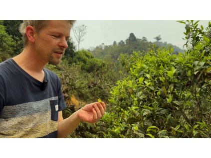 2 Doku Viet Lao Still