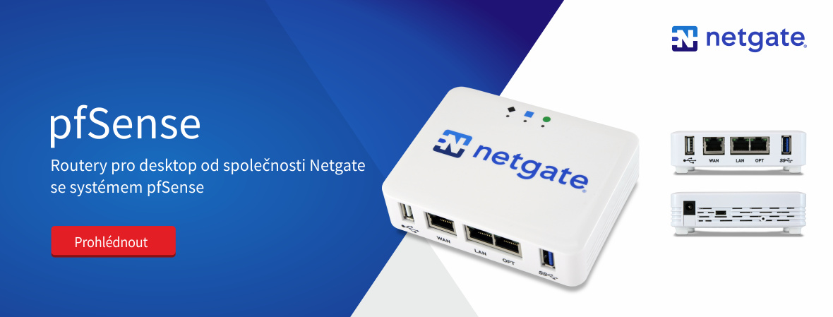 Netgate 1100