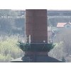 DJI 20250403134111 0054 V