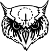 Owl boards store