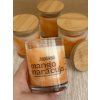 Sójová svíčka – Mango a maracuja