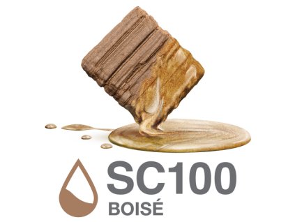 y5b55e889e5073 boise 100