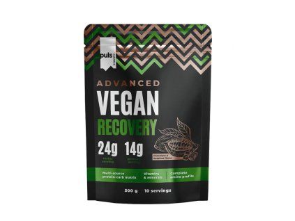 Vegan Recovery 500g (Příchuť choco and hazelnut)