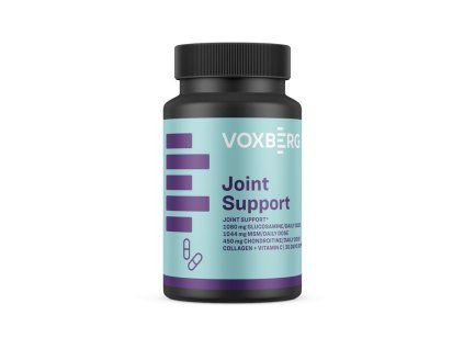 1.Joint Support Voxberg