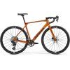 MERIDA MISSION 6000 Wild Honey(Black) (Velikost L)