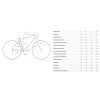 MERIDA BIG.TRAIL 200 Glossy Black(Matt Cool Grey) (Velikost L)