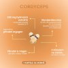 pictureprovider.aspx?z=900&path=20026%2F3.VH Cordyceps CS 4 20026 info graphics 2