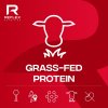 pictureprovider.aspx?z=900&path=106203%2F6.reflex nutrition branding 4