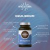 pictureprovider.aspx?z=900&path=54013%2F9.equilibrium
