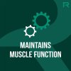 pictureprovider.aspx?z=900&path=105524%2F9 nexgen pro muscle