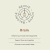 pictureprovider.aspx?z=900&path=25503%2F4 ancient brave brain
