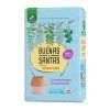 buenas y santas 500 g (1)