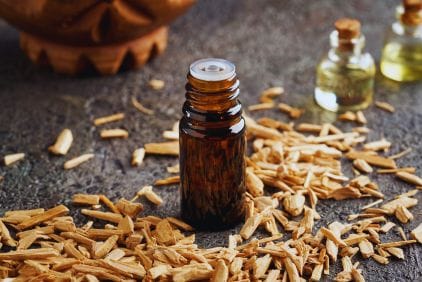 3 натуральні засоби, які відлякують бліх