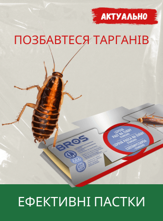 Проти тарганів