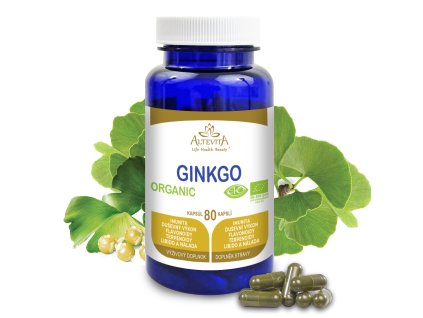 ginko2