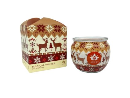 11168 2 arome sviecka v skle a flower boxe magical winter 90g