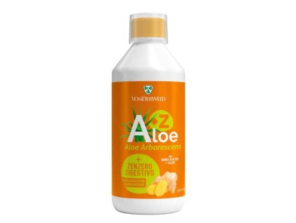 aloe zenzero