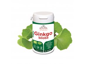 flasticka ginko