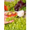 7634 3 garden seed mikrozelenina salat 1ks