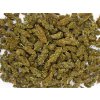 Cbweed Orange Skunk CBD konopi