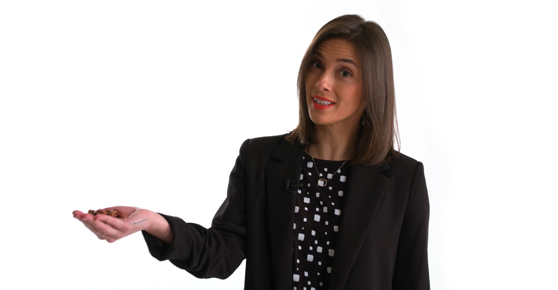 PEKANOVÉ ORECHY - DIANA COMPANY & @TOJIDLO - ŠKOLA PRÍRODY