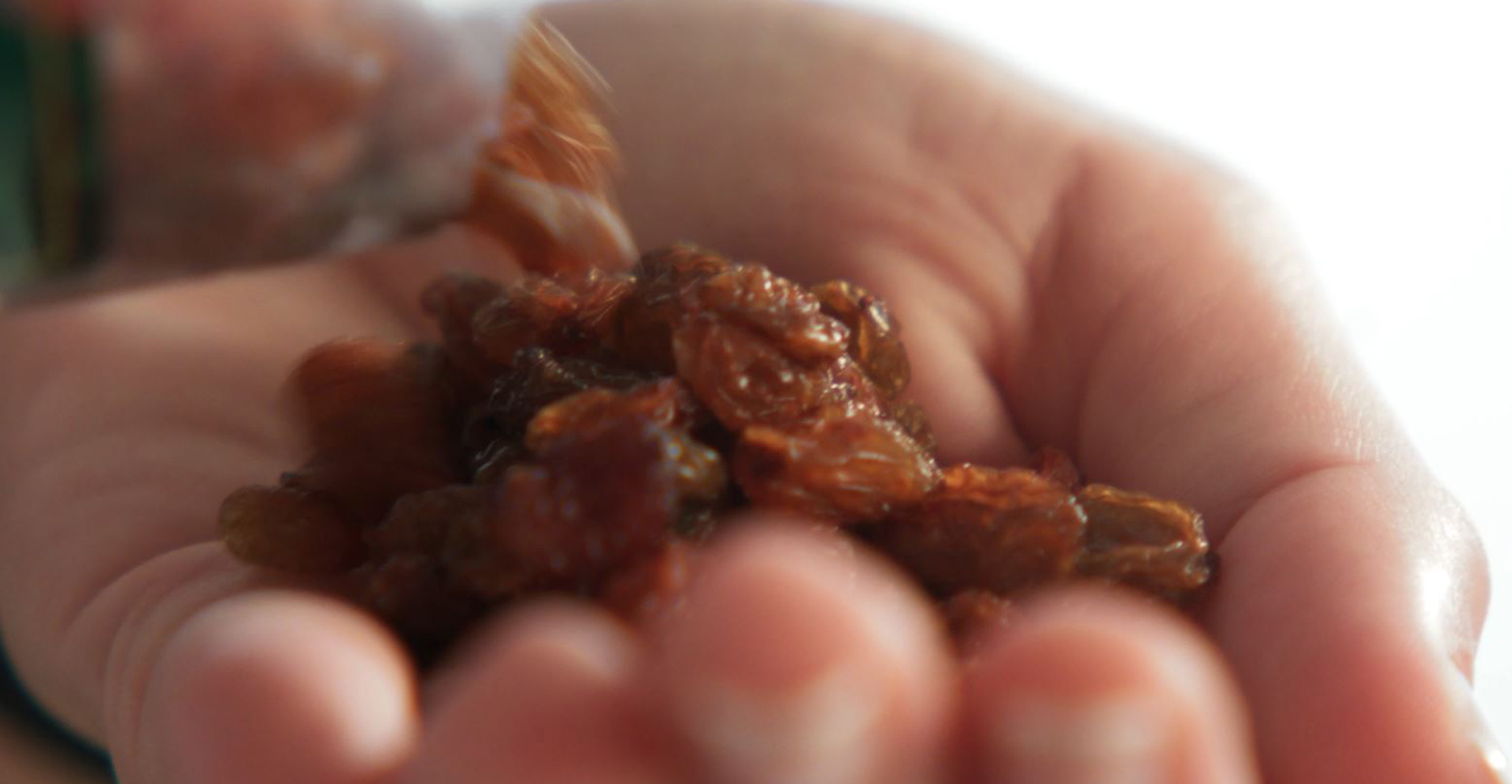 ROZINKY - DIANA COMPANY & @TOJIDLO - ŠKOLA PRÍRODY