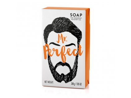 somerset toiletry company 200g mr perfect