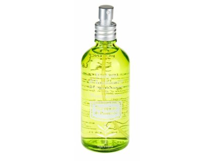 45017 interierova vune verbena 100ml