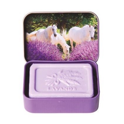 65409 1 levandule a kone