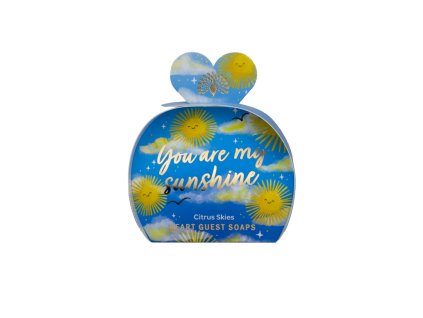 OX0012 Occasions You Are My Sunshine (1)