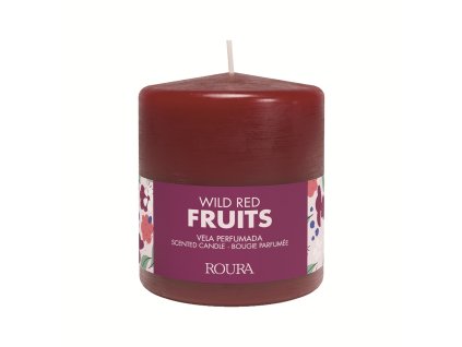 87119 1 wild red fruits