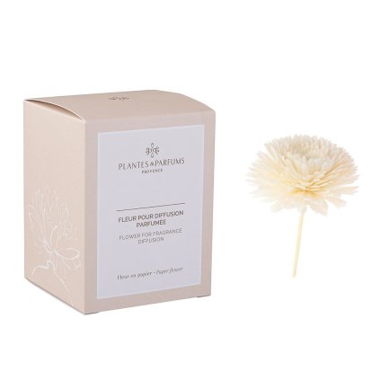 Plantes Parfums Boite Fleur upr3
