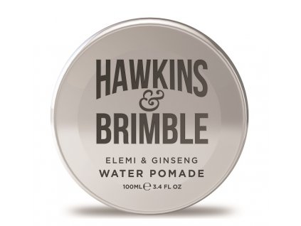 46408 hawkins brimble panska pomada na vlasy 100ml