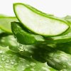 soin de jour hydratant aloe vera the vert ingredient
