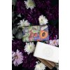 KGS0018 Kew Apricot Vetiver (1)