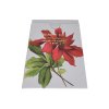 83342 1 poinsettia flower rose