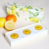SBE0012 Bath & Body Lemon & Mandarin (3)