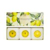 SBE0012 Bath & Body Lemon & Mandarin upr