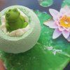It's Not Easy Being Green Blaster Lillypad upr