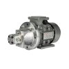 Zubov‚ hydraulick‚ źerpadlo + 3f zově motor 380V 0,12kW v setu se zvonkovou spojkou a zubovou spojkou, věkon sady: 0,22L/min max. tlak: 19MPa