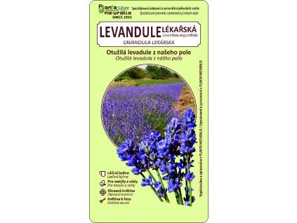 levandule