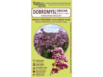 dobromysl obecná