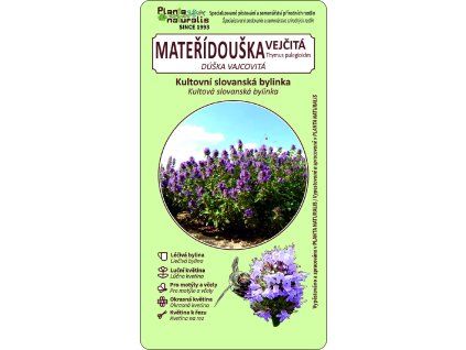 mateřídouška