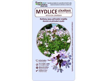 mydlice