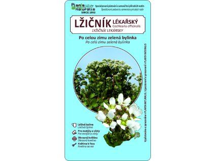 lžičník